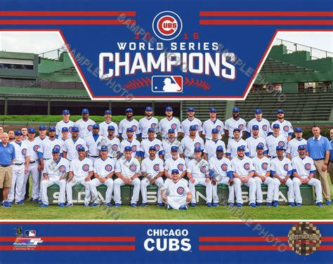 chicago cubs 2016 roster